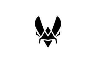 Team Vitality